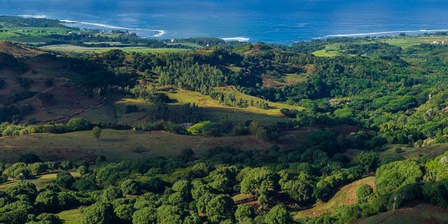 Bel ombre wilderness tour at bel ombre nature reserve (3)